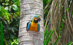 Tambopata Ecolodge