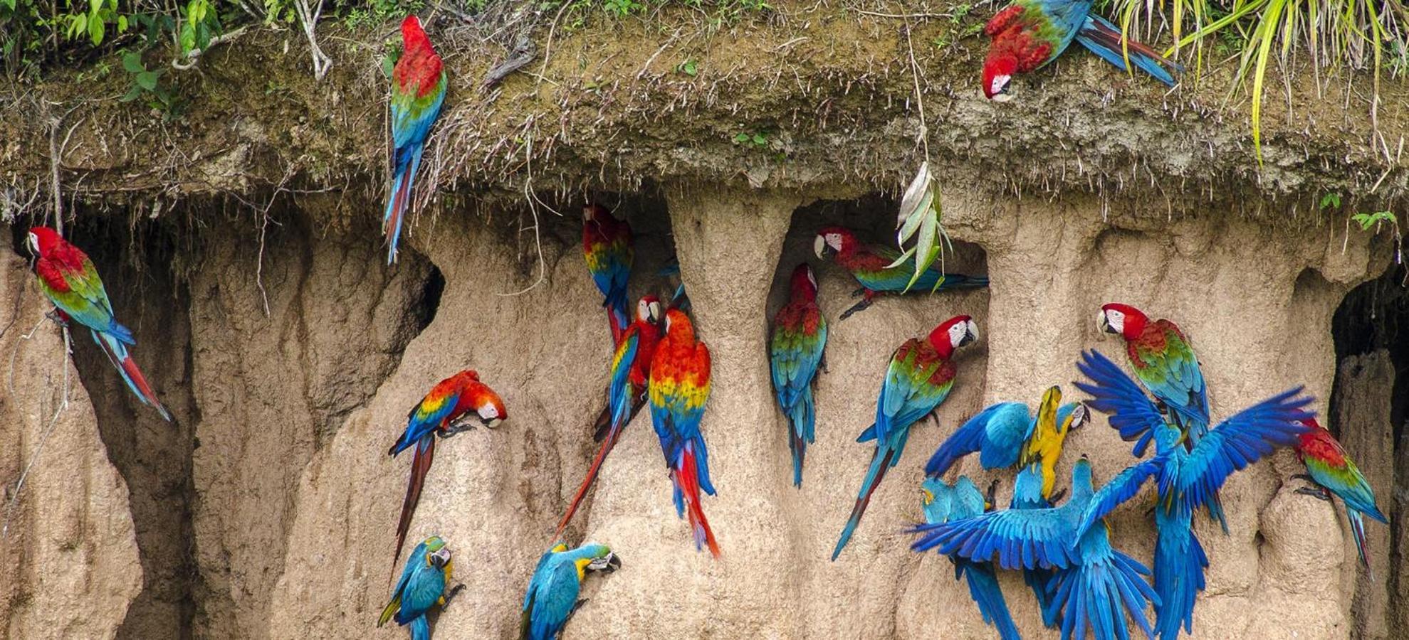 Tambopata Ecolodge Exterior photo