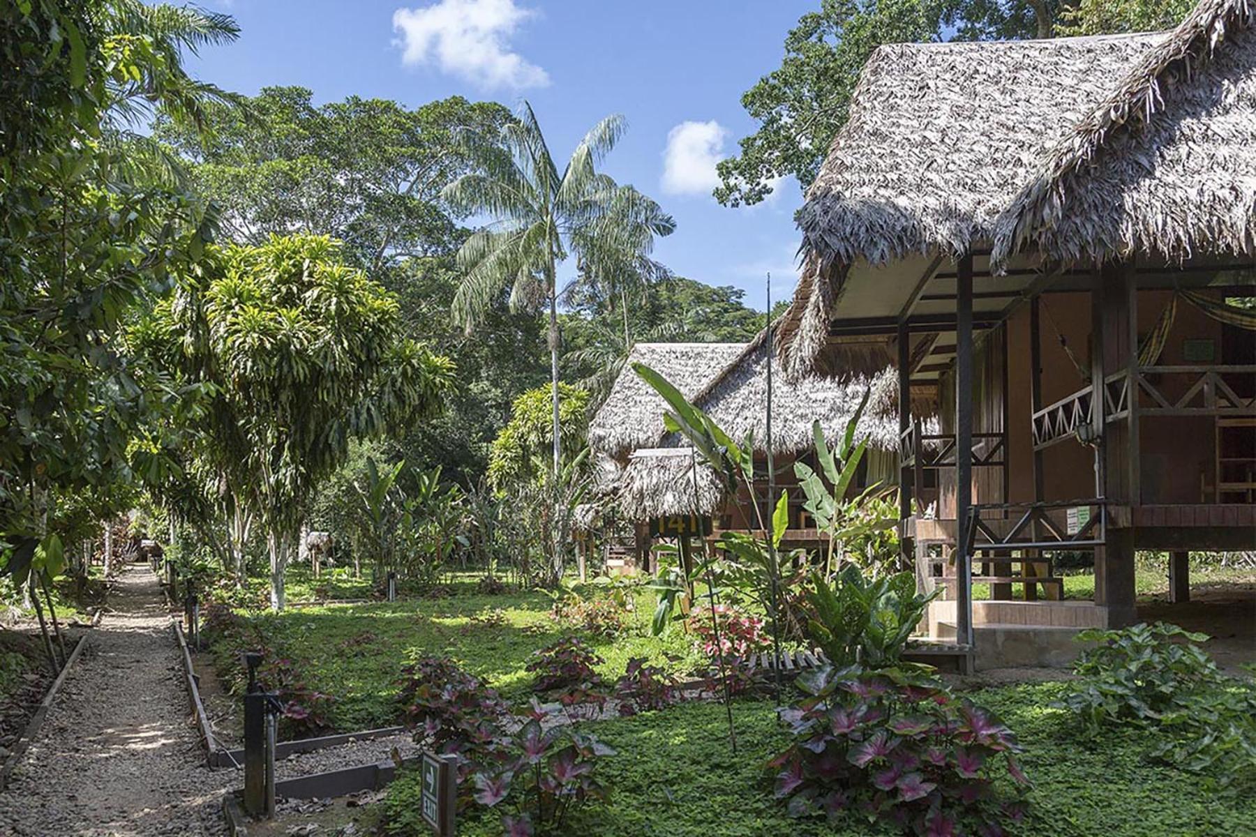 Tambopata Ecolodge Exterior photo